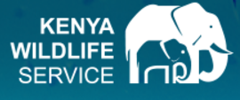 肯尼亚野生动物协会